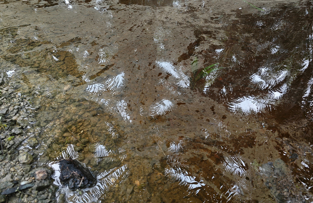 Photo of oily run off