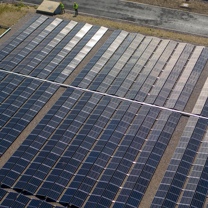 Numerous rows of solar panels