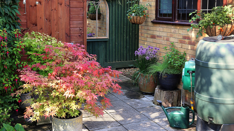 garden_patio_waterbutt_double.jpg