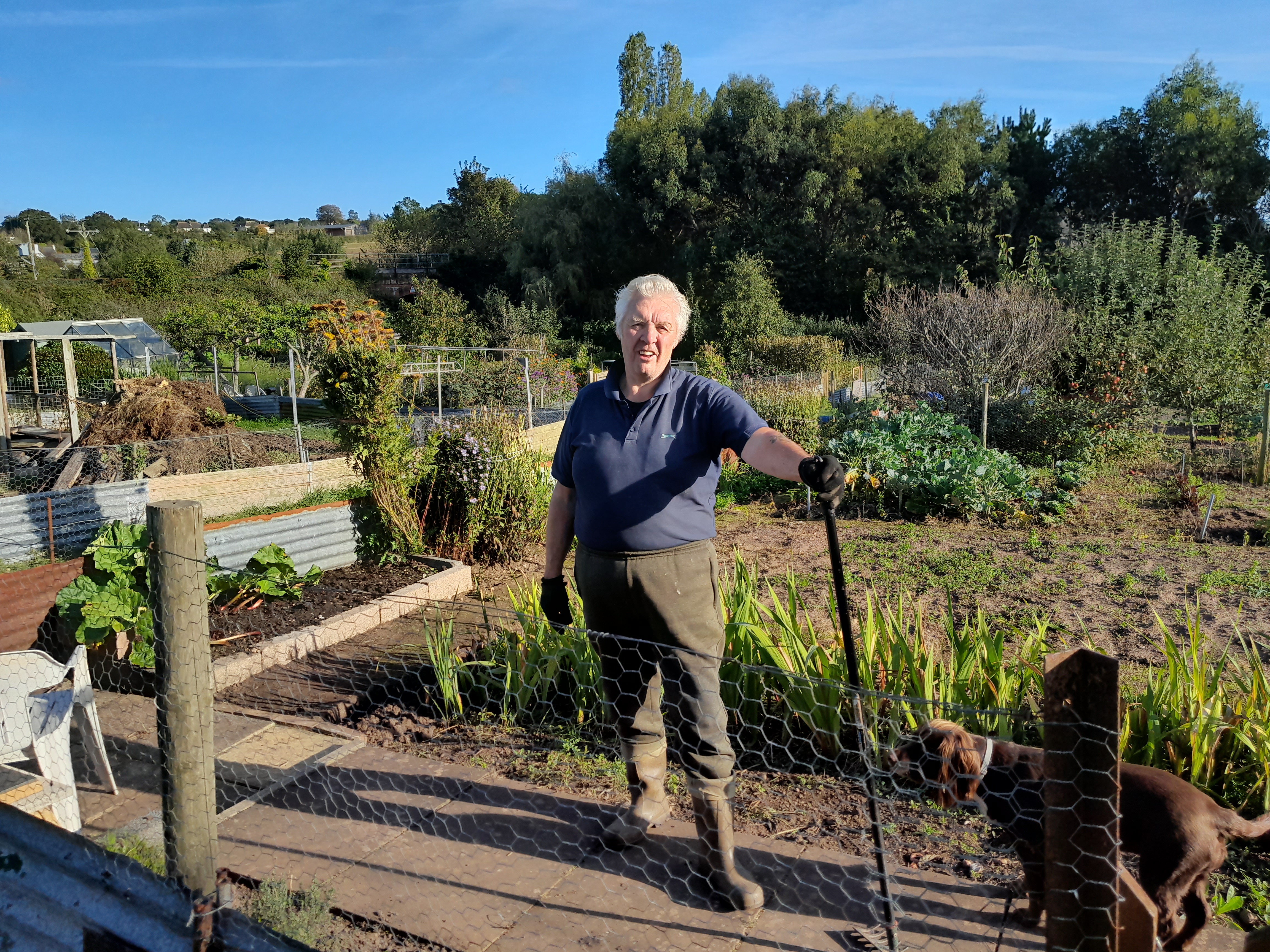 image of a person at the allotment