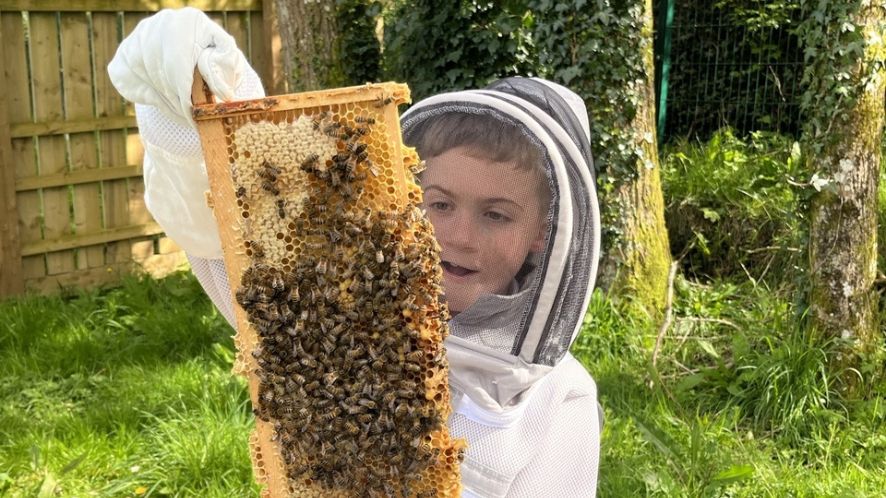 Local primary school is buzzing with excitement after receiving support for beekeeping club- image