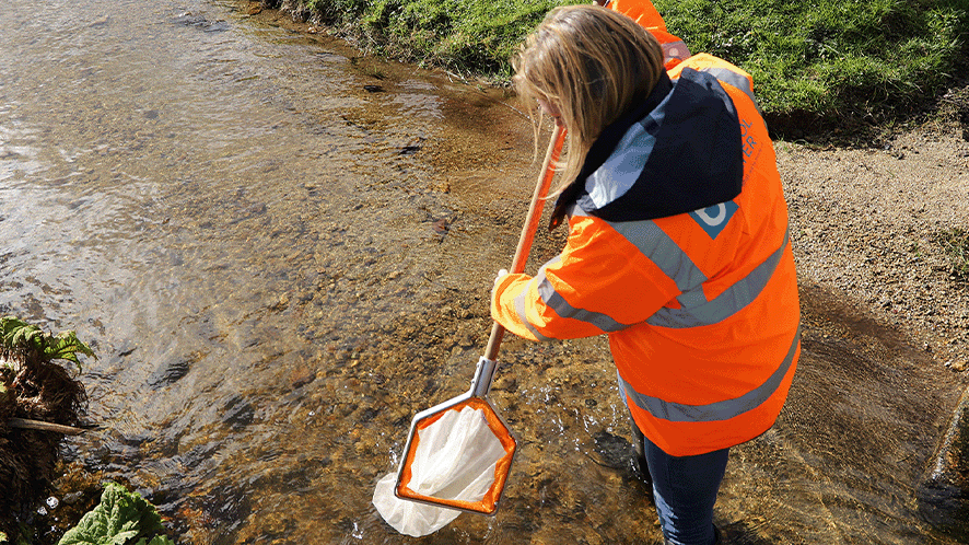 Picture of a person working in a pond wearing a hi vis jacket