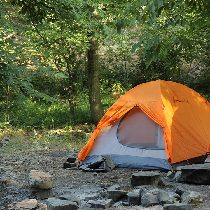 Picture of an orange tent in woods
